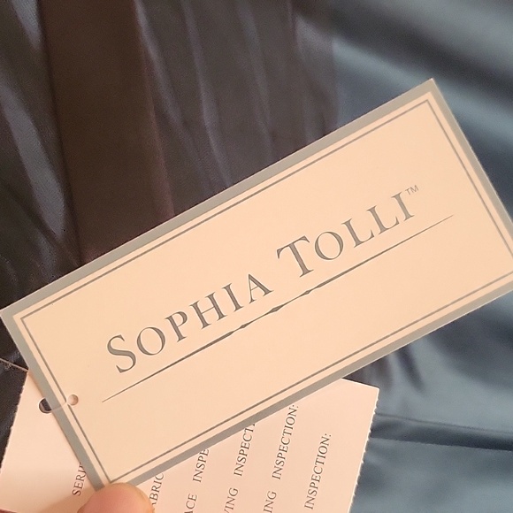 NWT Sophia Tolli Dark Jade/Teal Sheer Black Strapless Cocktail Dress Sz 8 Sexy! - Picture 6 of 11